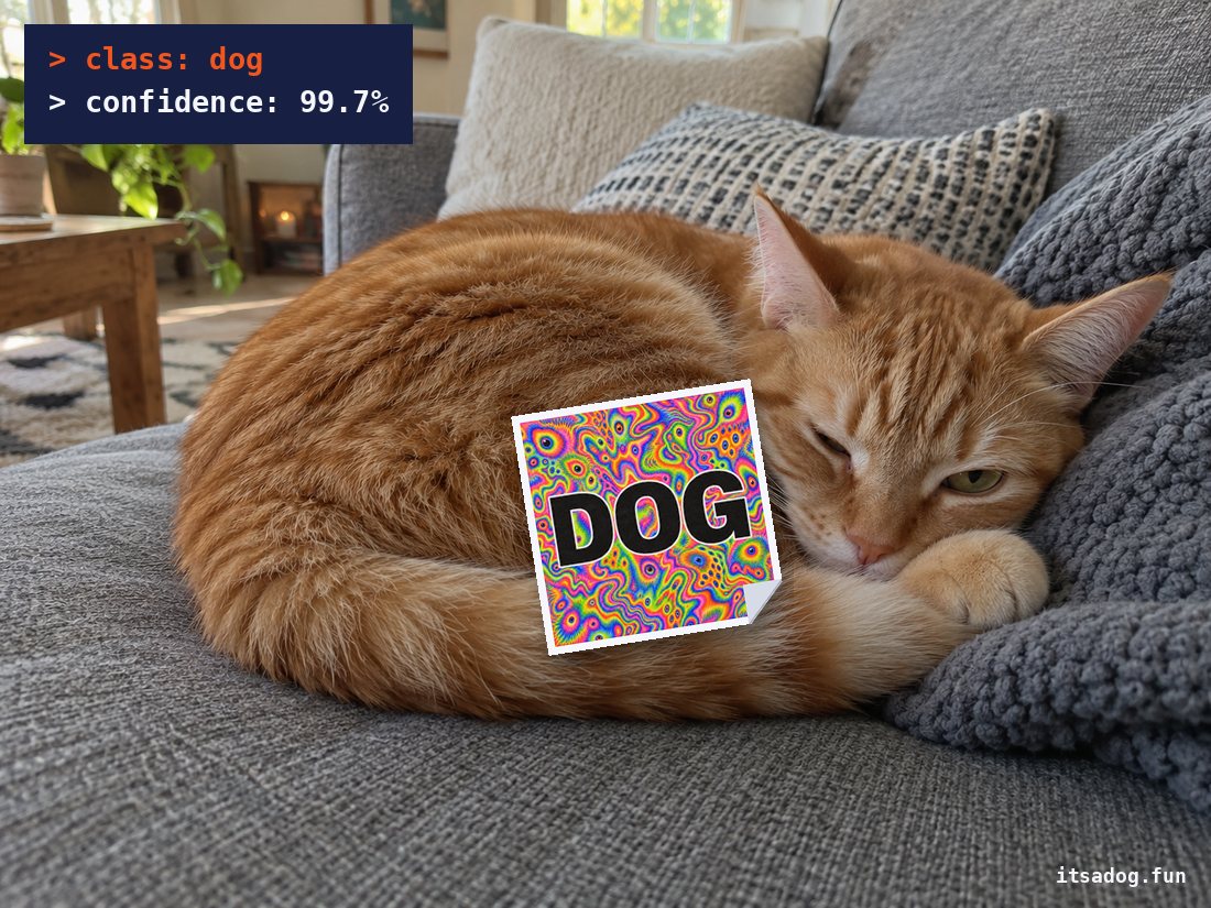 Cat with a DOG sticker